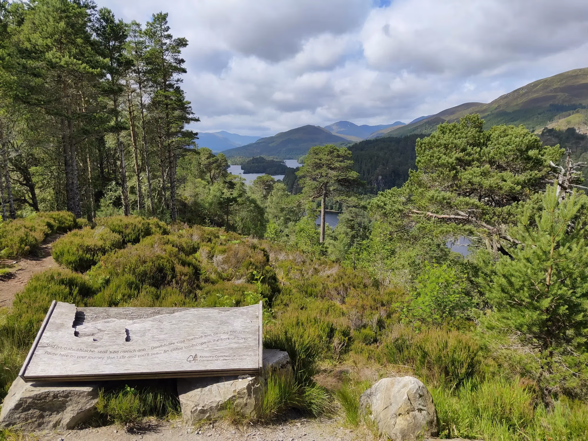 A carved wooden viewpoint panel above the pinewood, looking down the glen to the loch and the hills beyond