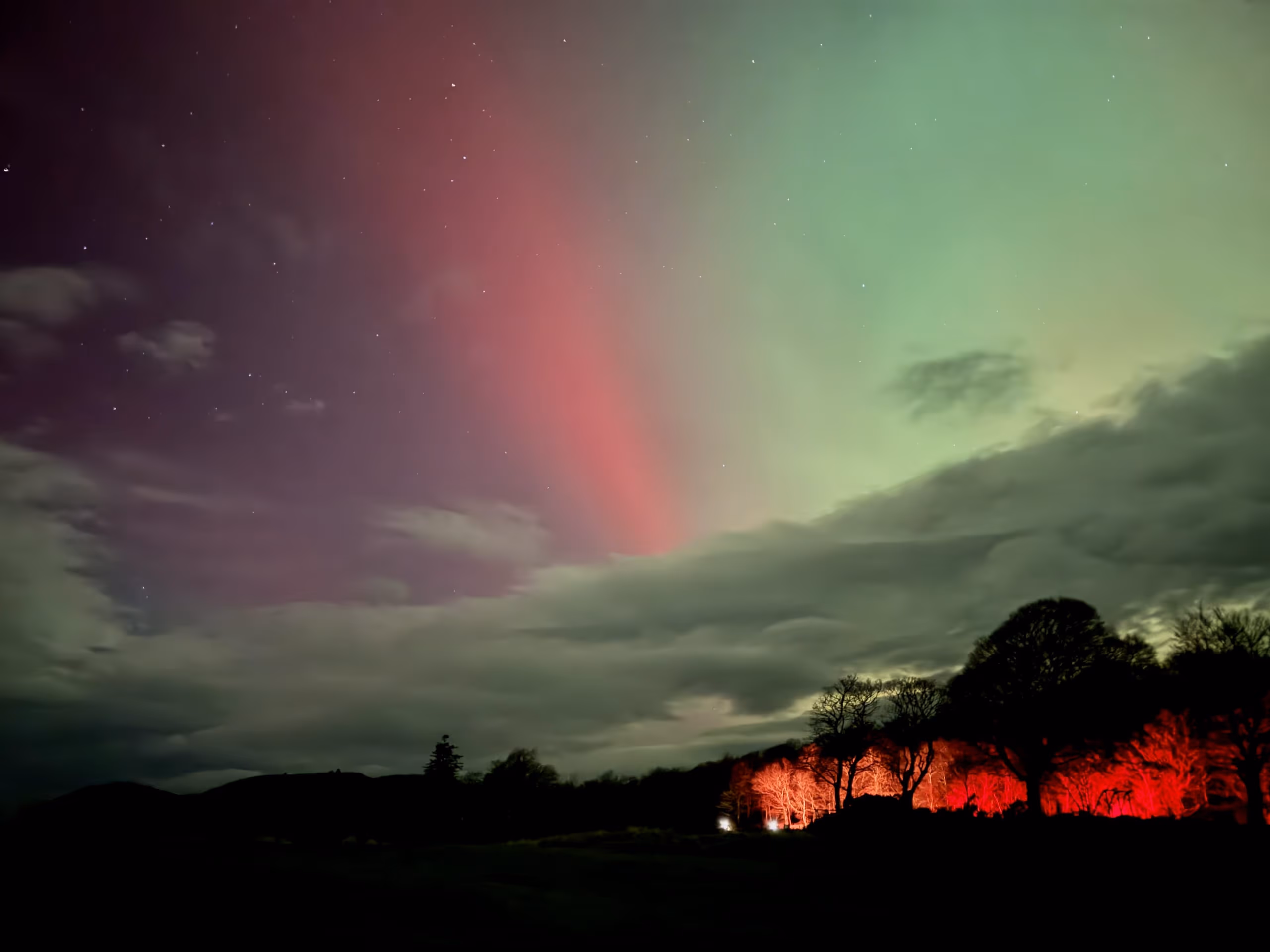 The aurora in green and red over a dark treeline in the Highlands, a low glow on the hillside beneath it