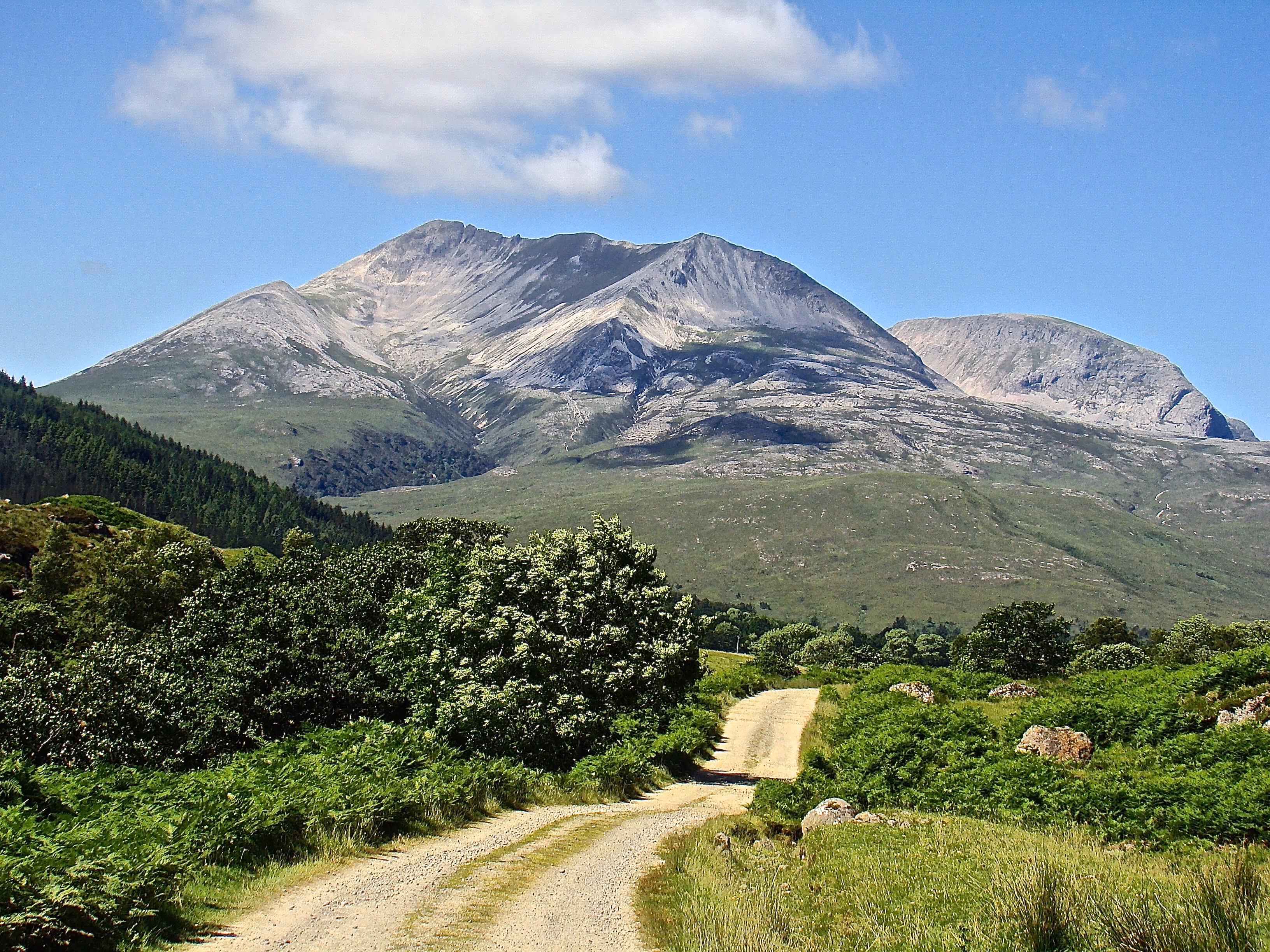 The quartzite screes of Beinn Eighe pale against the sky, a track running out towards the hill through low woodland