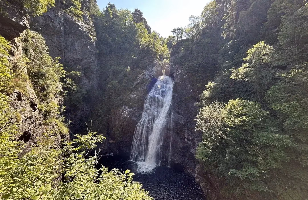 The Falls of Foyers dropping into its wooded gorge, rock walls on both sides and the pool black at the bottom