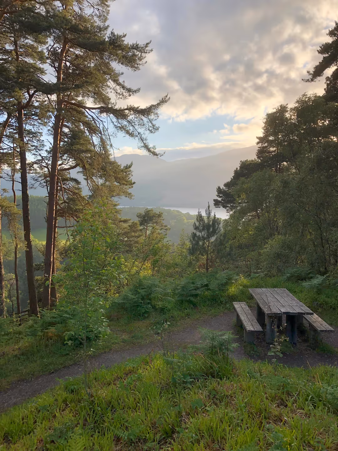 A bench on a forest path high above Loch Ness in evening light, Scots pine framing the water below