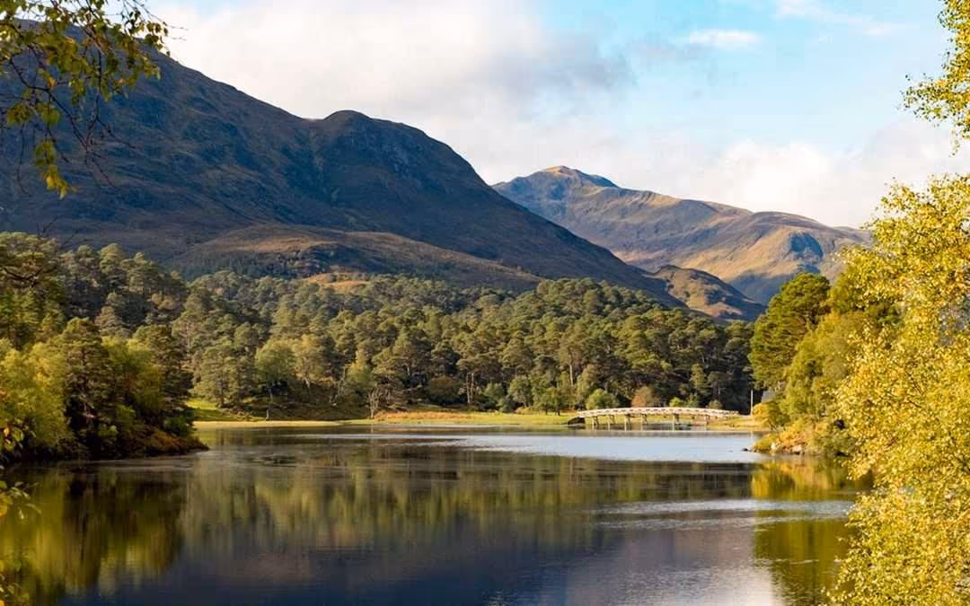 Flat calm water in Glen Affric, Caledonian pine along both shores and the hills rising behind