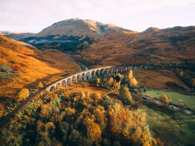 The viaduct from above in autumn, the railway curving in through birch already turned