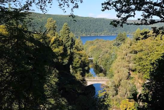 The stone bridge at Inverfarigaig from above, the river running out through the trees to the loch