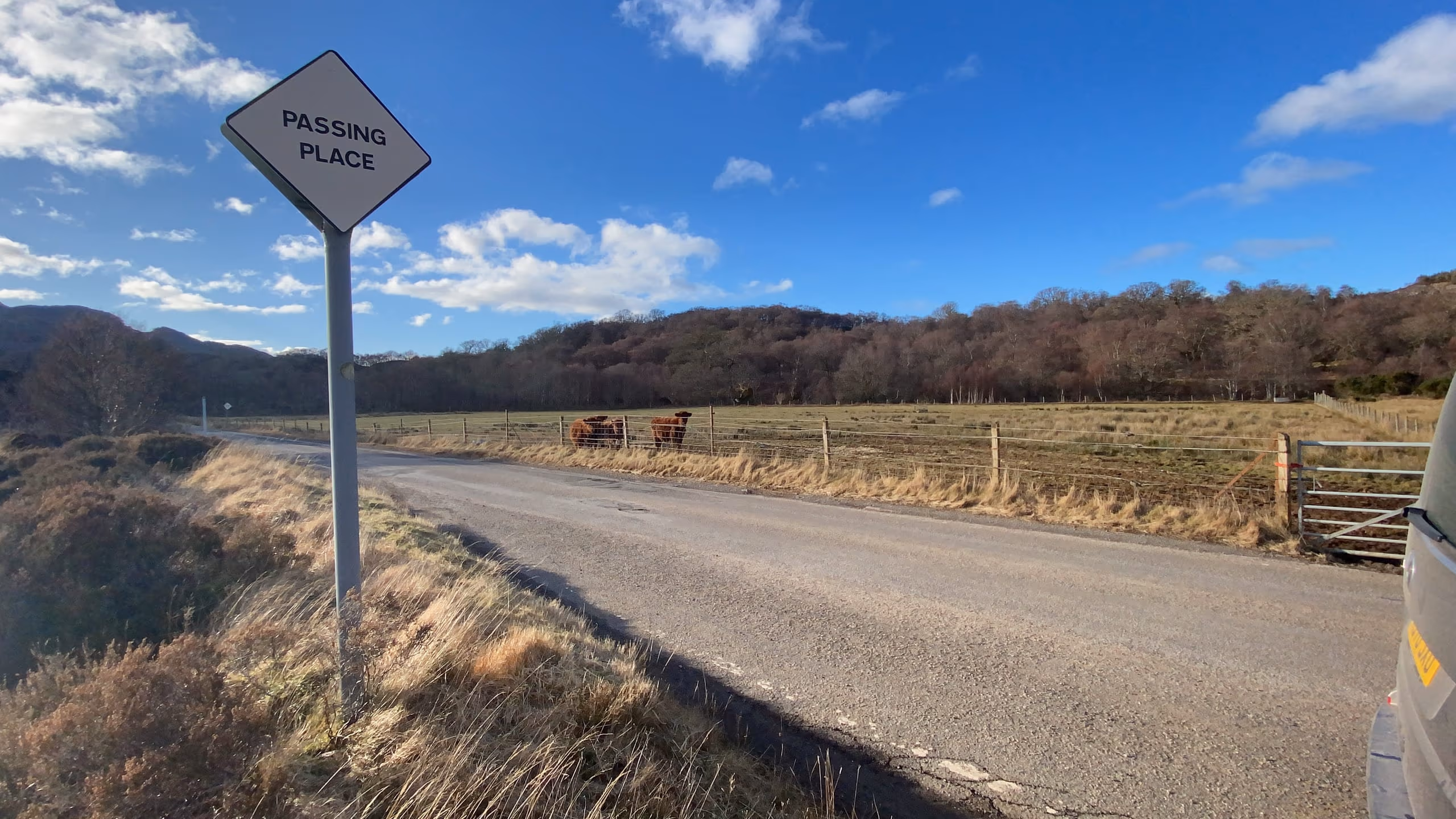 A passing place sign on a single-track Highland road, the tarmac running away empty between the fields